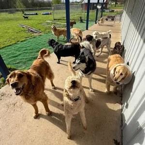 The real photo this PupToon was drawn from
