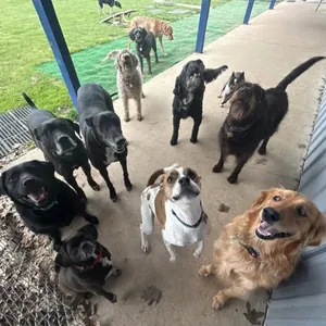 The real photo this PupToon was drawn from